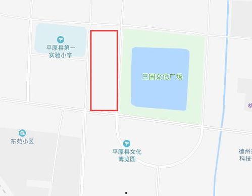 德州平原新区新闻头条网,聚焦发展新篇章，共绘美好未来蓝图