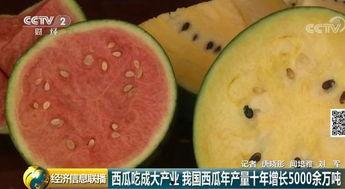 吃瓜来中国,探寻美食与文化的盛宴