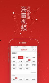 头条视频加广告怎么弄,头条视频广告概述及副标题创作技巧