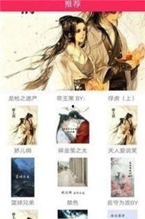 苏凌顶级网红小说,网红巅峰之路
