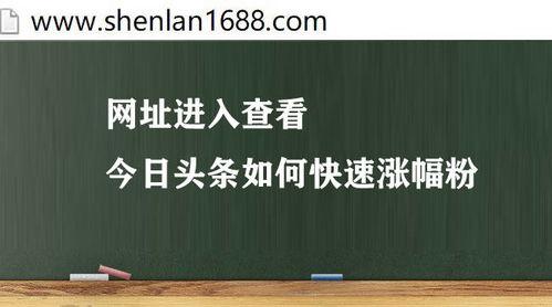 头条如何得到粉丝,轻松打造高人气账号
