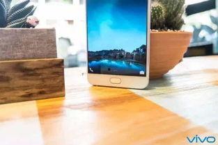 vivo 头条号,探索科技前沿，引领智能生活新潮流