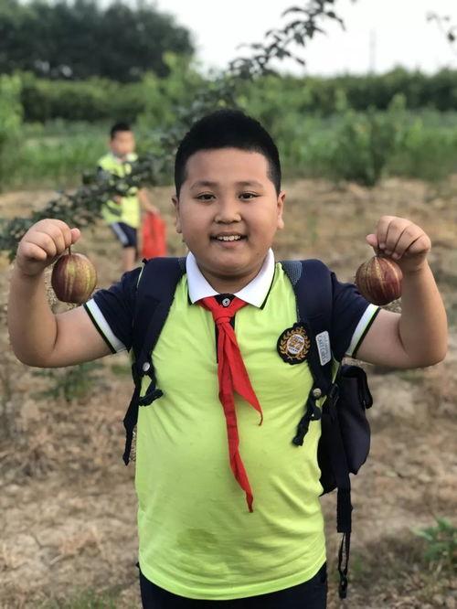 临晋网红王秉翔,网络红人的崛起与影响力