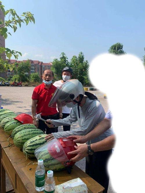 镇平公园吃瓜事件,一场引发热议的公共道德风波