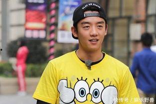 郑恺明星评价,多面魅力明星，实力与颜值并存