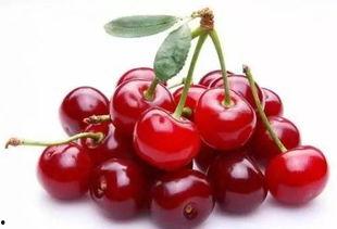 宸荨樱桃黄料在哪里看,探寻宸荨樱桃黄料神秘来源之旅