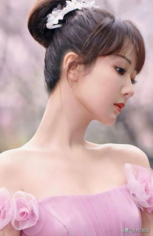 杨紫什么明星,从童星到实力派，她如何成为娱乐圈的璀璨明星