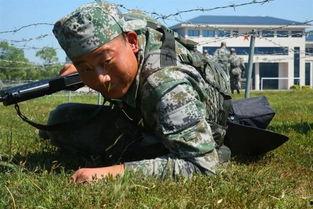 新兵家长微头条号,见证孩子蜕变，共筑强军梦