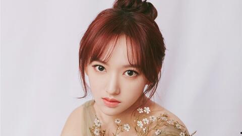 潇什么女明星,揭秘我国著名女演员的璀璨人生