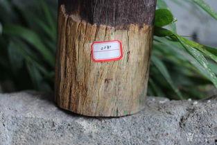 怎么看紫檀风化料好坏,紫檀风化料品质鉴定指南