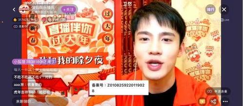 明星贺岁视频,明星贺岁视频精彩集锦